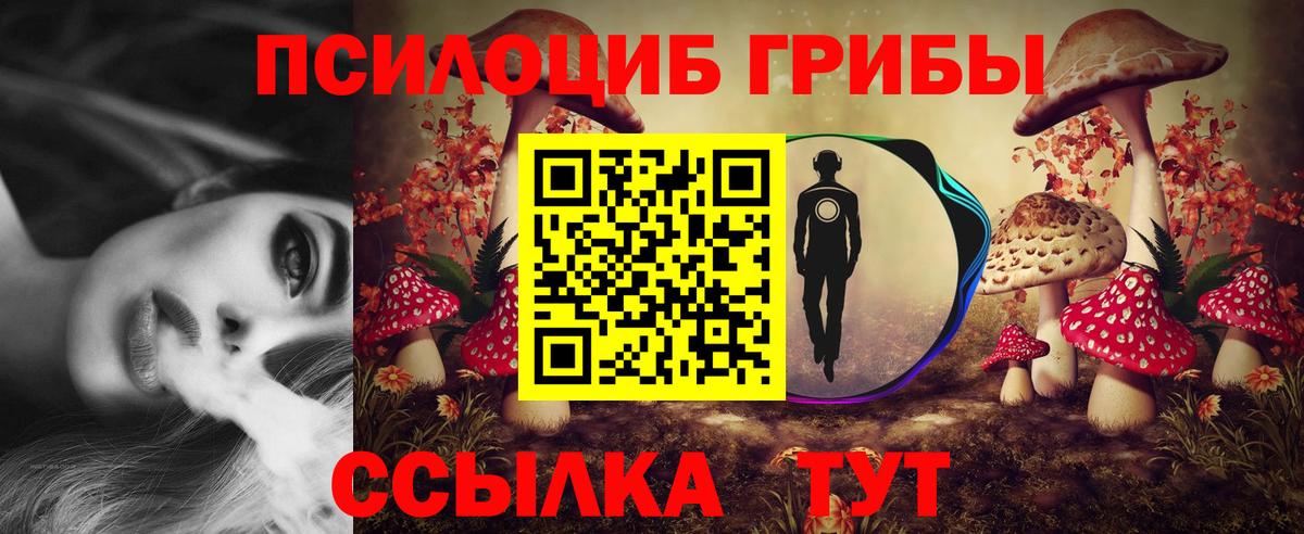 Псилоцибиновые грибы Psilocybine cubensis Геленджик