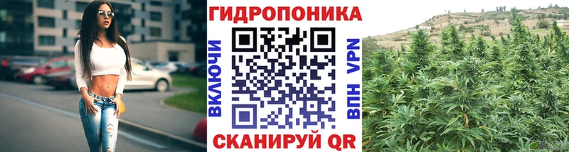Каннабис индика  как найти наркотики  Геленджик 